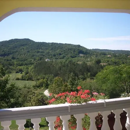 Apartment Zarecki Krov Pazin